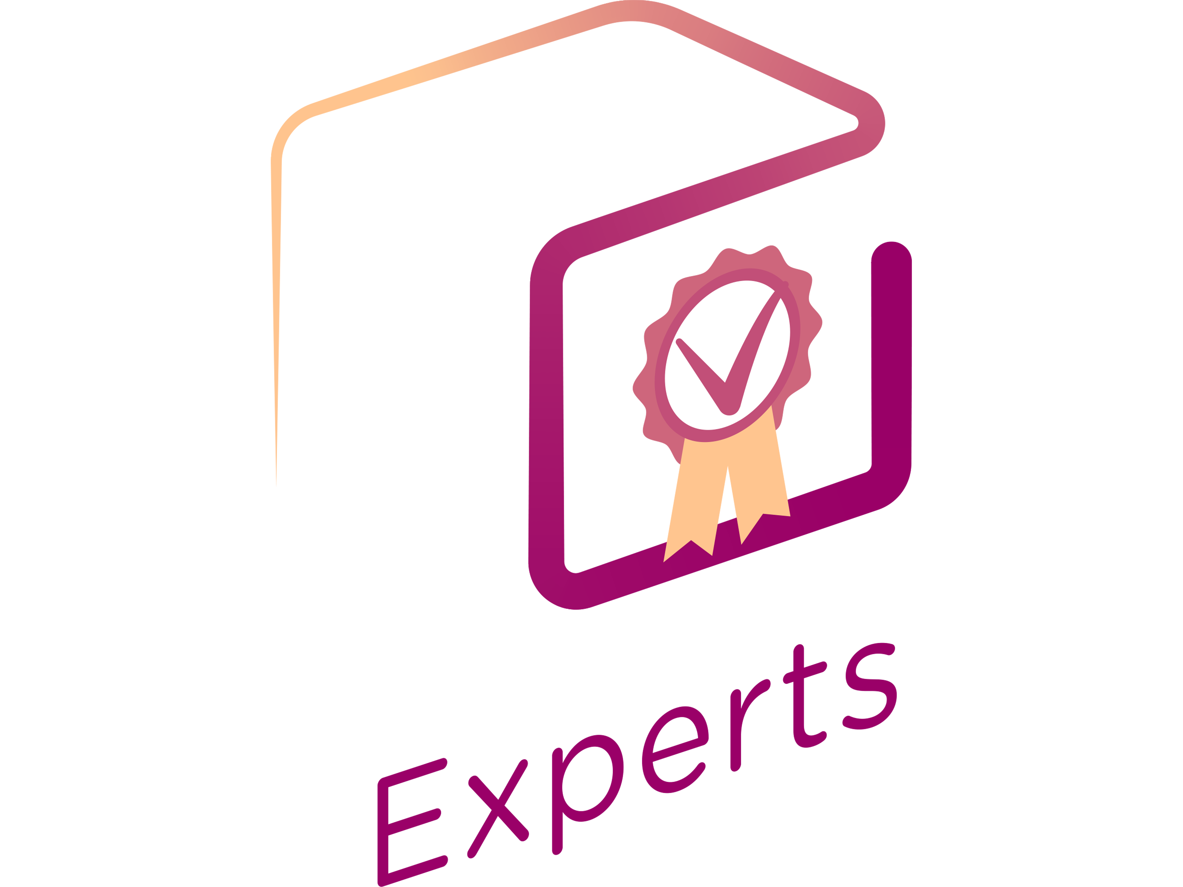 experts